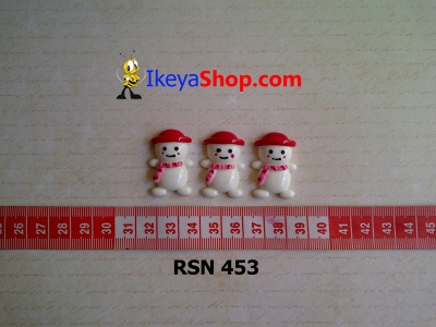 rsn 453  large2